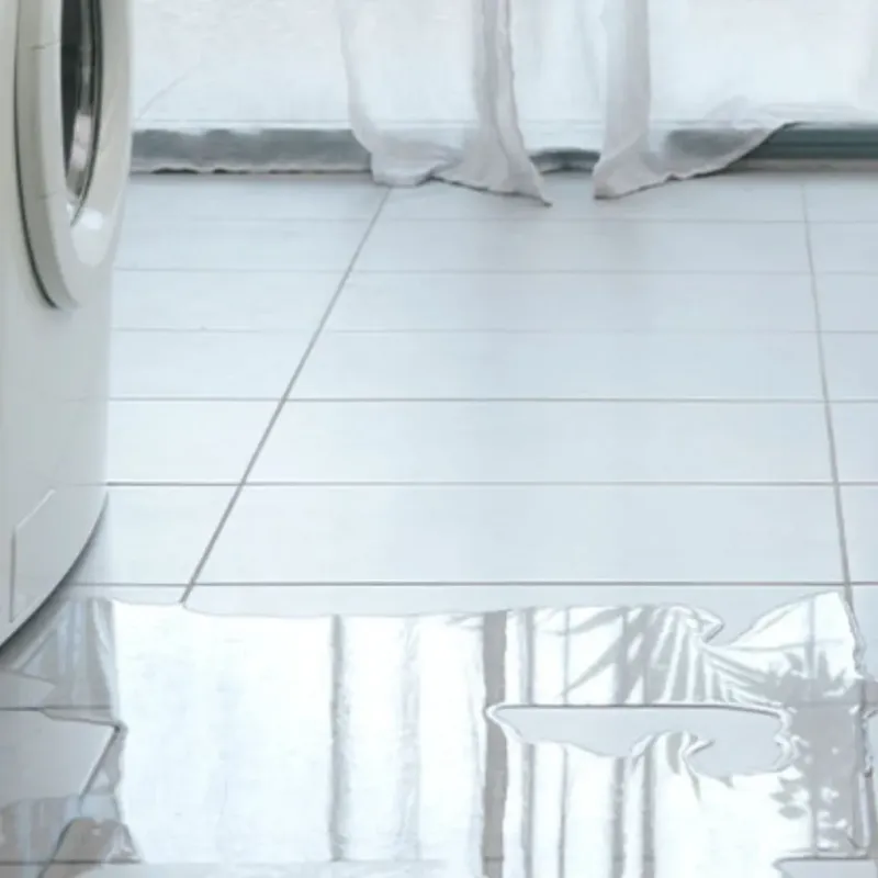 Appliance Leak Cleanup in Visalia, CA